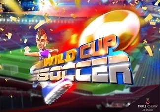 WILD CUP SOCCER
